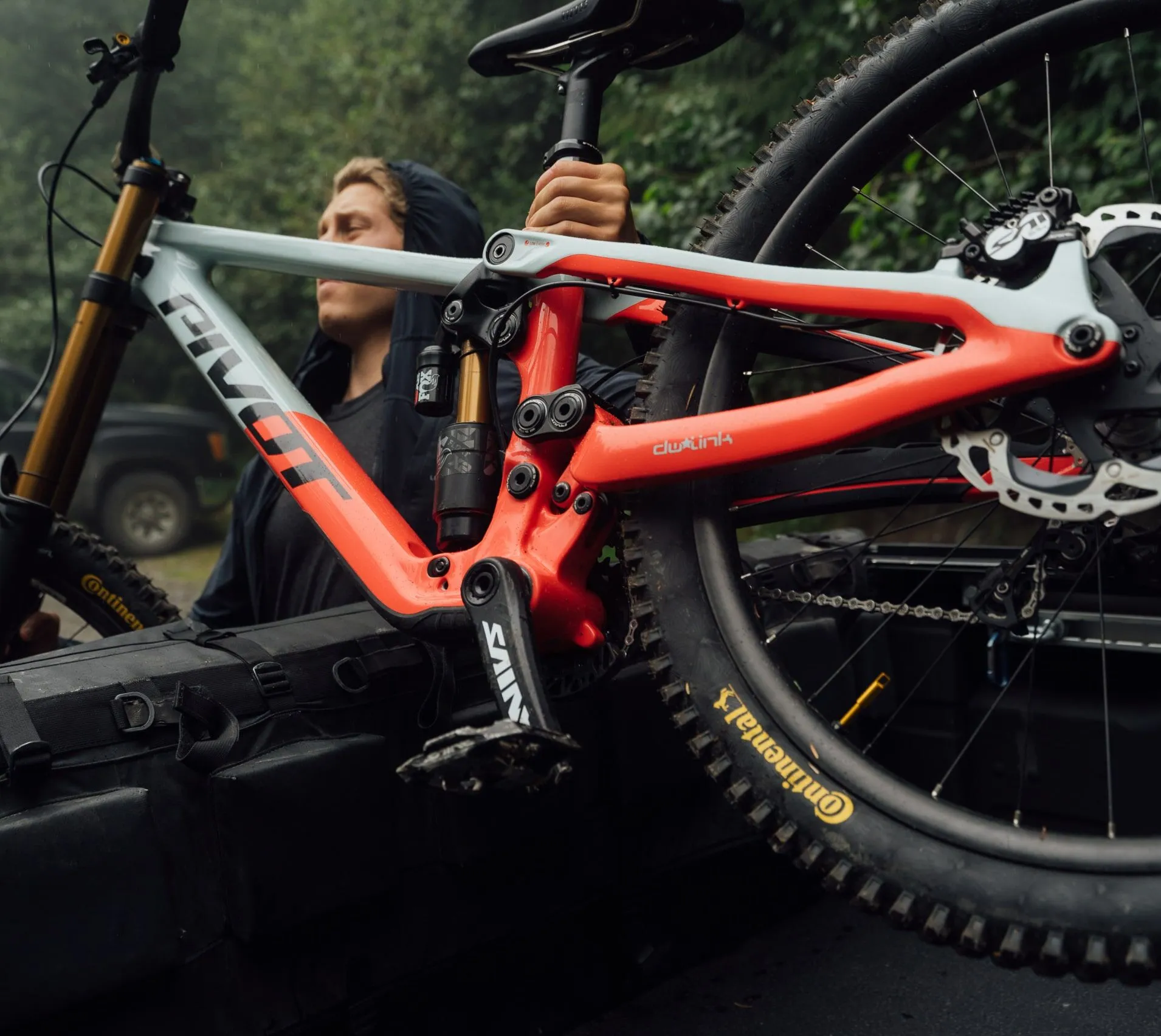 The New Phoenix - Pivot Cycles
