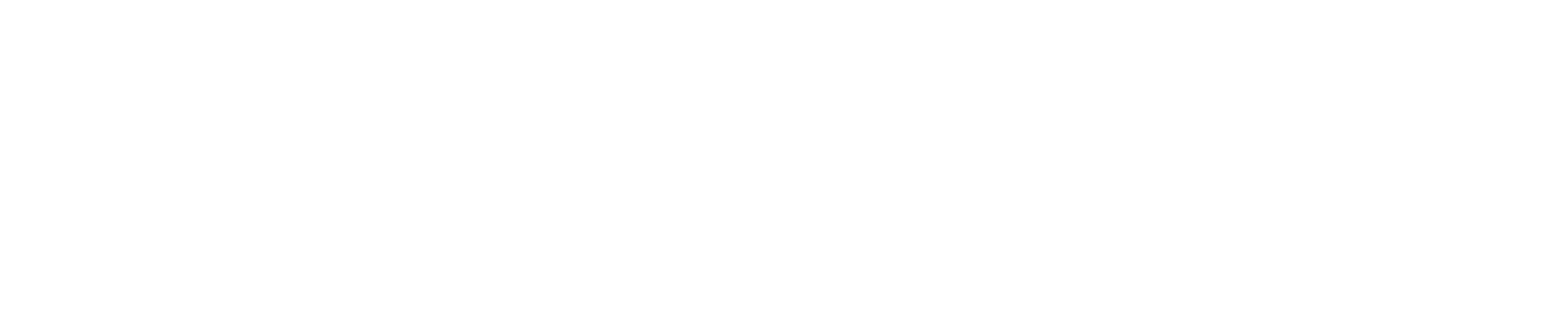 E bike