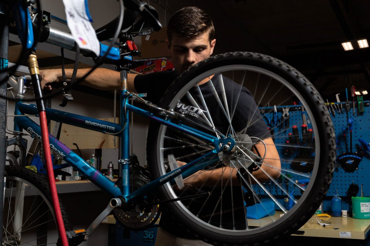 OPPORTUNITIES TO SUPPORT AND GROW