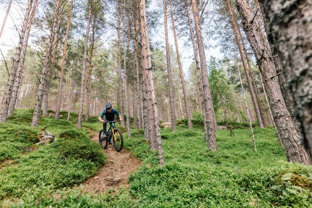 Sight Unseen-Norway-PivotCycles-002