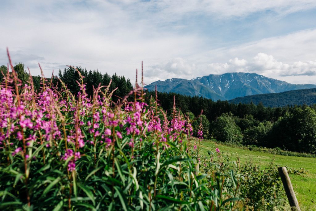 Sight Unseen-Norway-PivotCycles-015