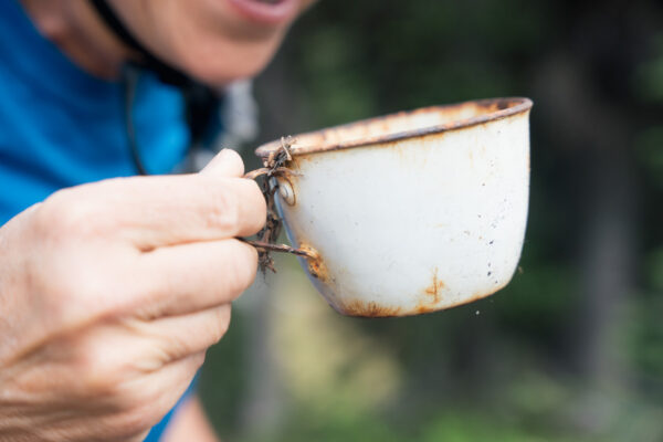 SilvercupJPEG-297_1
